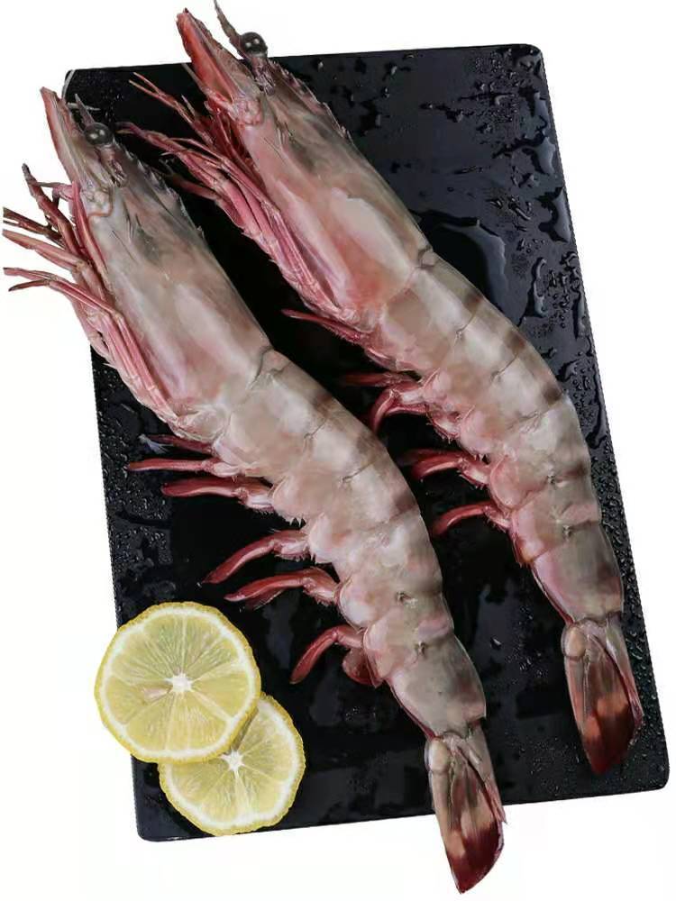 特大黑虎虾老虎虾大虎虾鲜活冻斑节虾对虾海捕大虾红虾两斤超巨型虎虾