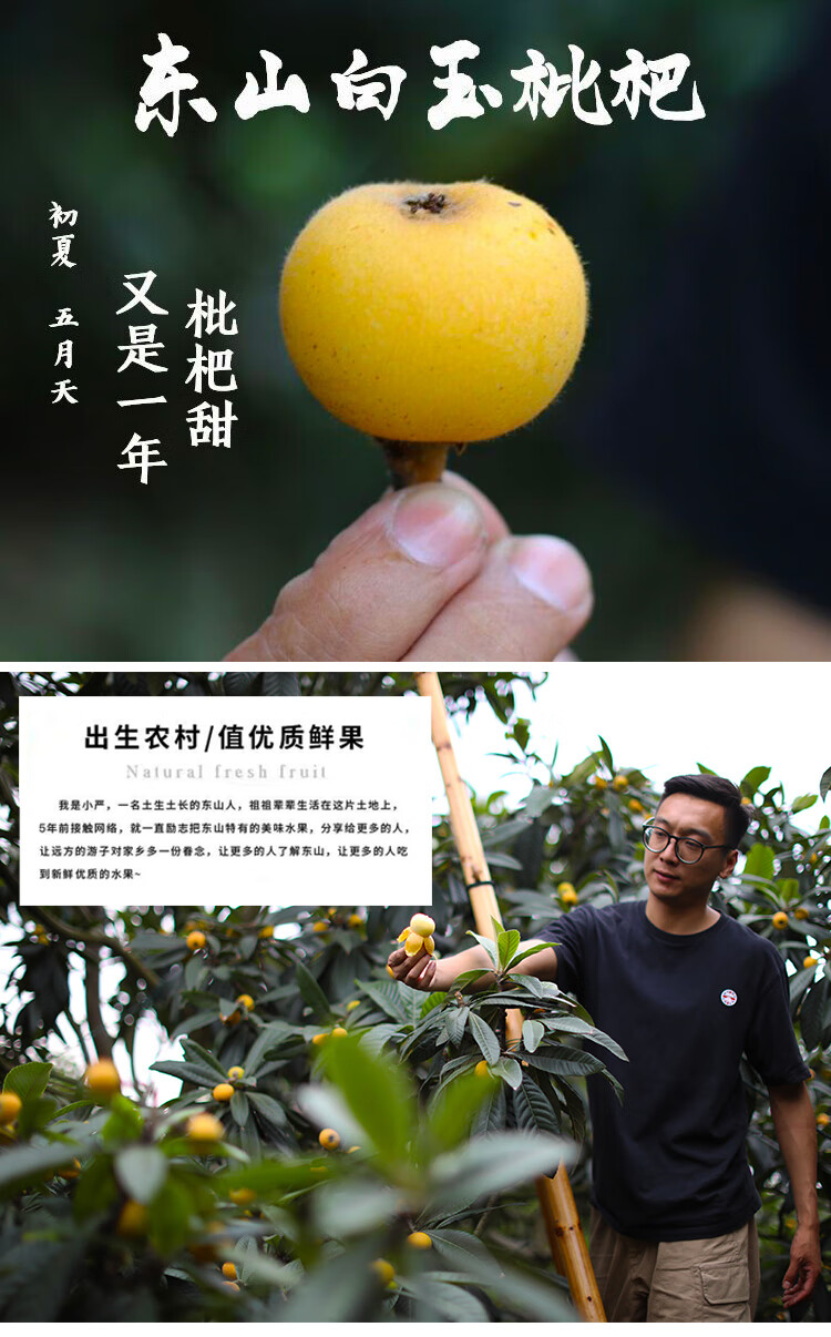 素界 超甜 苏州东山白玉枇杷白沙枇杷现摘5斤大果新鲜水果顺丰礼盒装