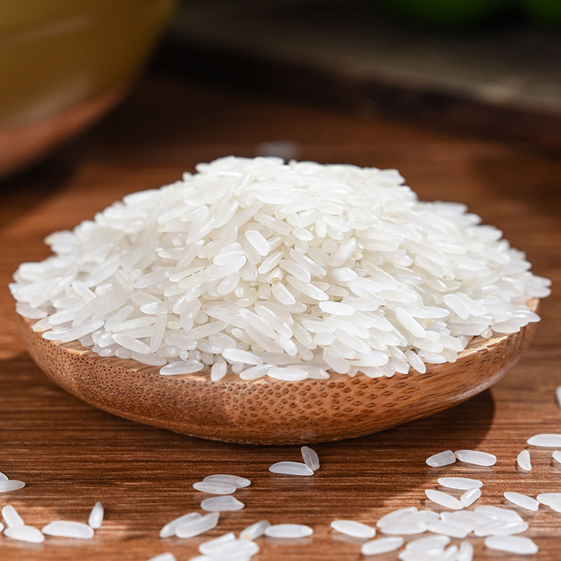 太粮鸣象尊桂油粘米5kg南方长粒香软大米10斤籼米新米煲仔饭米