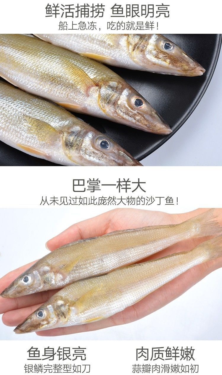 海捕青島沙丁魚冷凍沙尖魚沙鑽魚沙梭魚無冰衣淨重二三王牛中號4斤