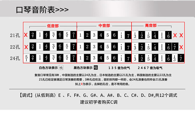 e310db95d6e57e0d.jpg