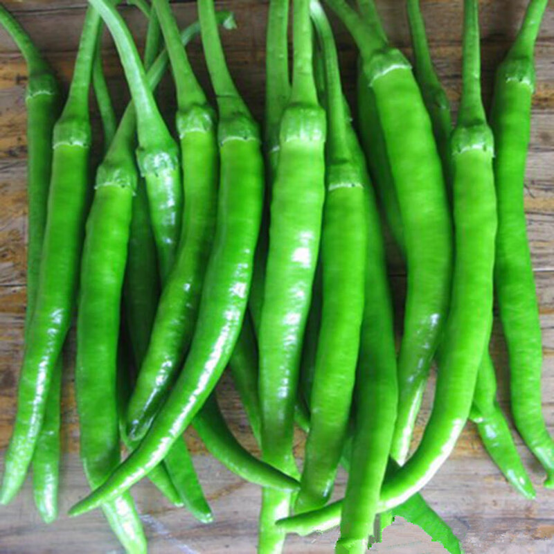 杭椒一号辣椒种子线椒种子早熟高产辣味浓辣椒种子杭椒七号种籽 杭椒