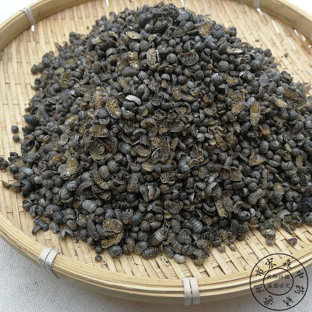 中药材鼠妇虫鼠妇虫 地虱 湿生虫 潮虫 干货 可打粉 鼠妇虫粉【100克