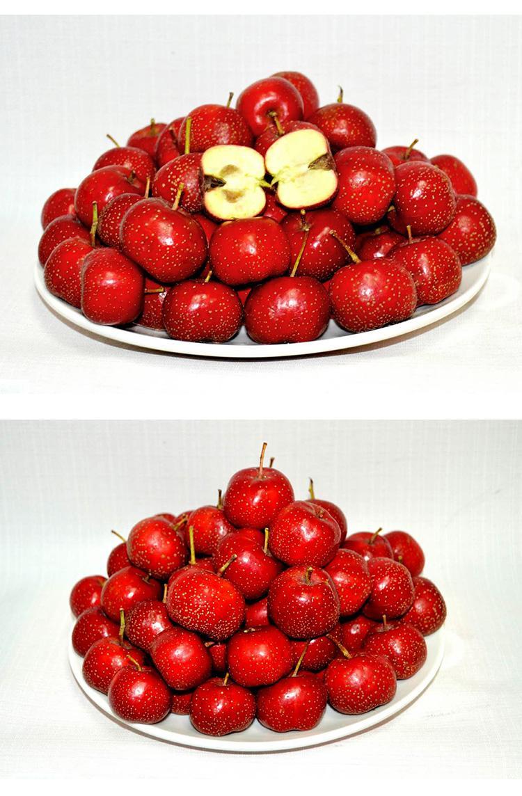 精选果蔬新鲜水果特级山楂大金星大五棱糖葫芦养生红果自然成熟无添加