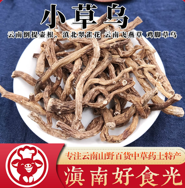小草乌纯根正宗云南药材倒提壶根鸡脚草乌飞燕草滇北翠雀花根内廷上用