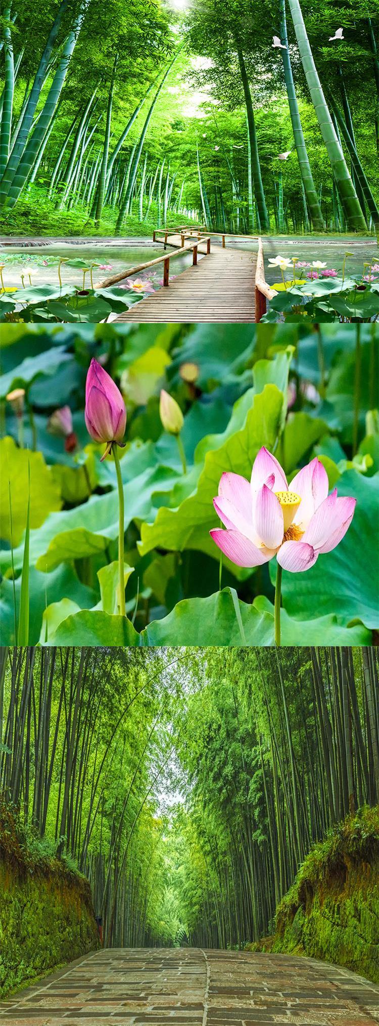 白萱直播背景布3d立体山水装饰室外风景网红ins壁画挂布房间挂毯14按