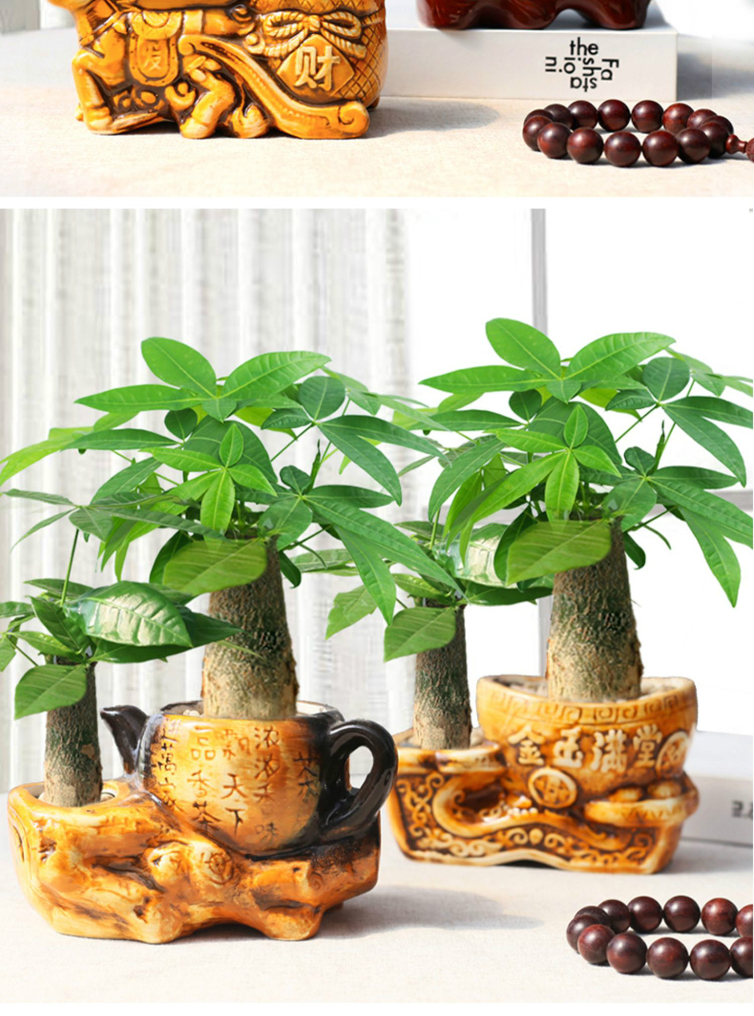 【青意萱】青意萱发财树小盆栽四季好养绿植办公室招财盆景植物 大号