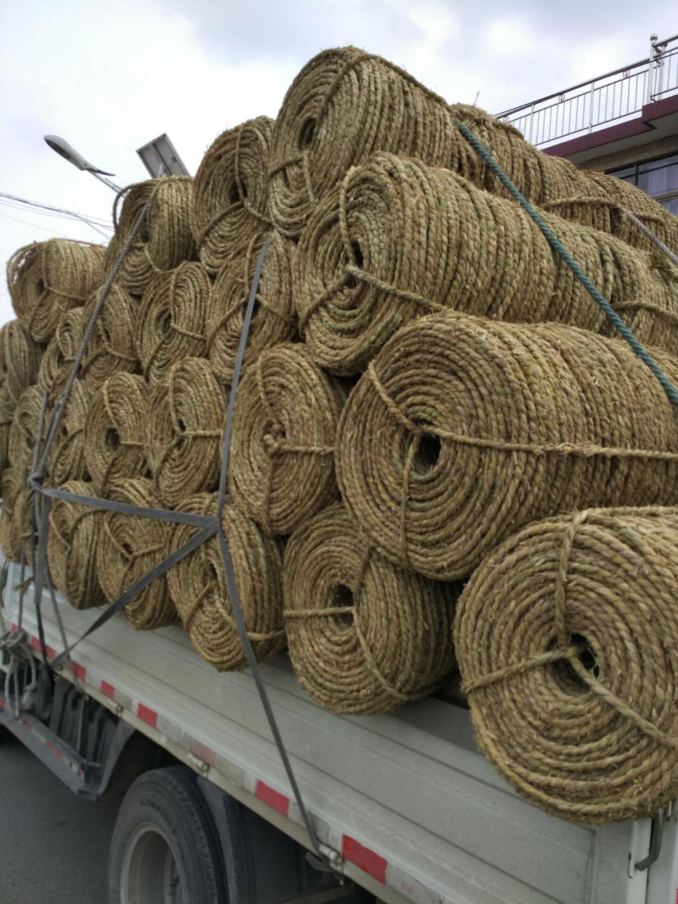 草绳稻草绳园林花木移栽包扎捆绑树木草绳子仿寒保暖加厚裹树布稻草人