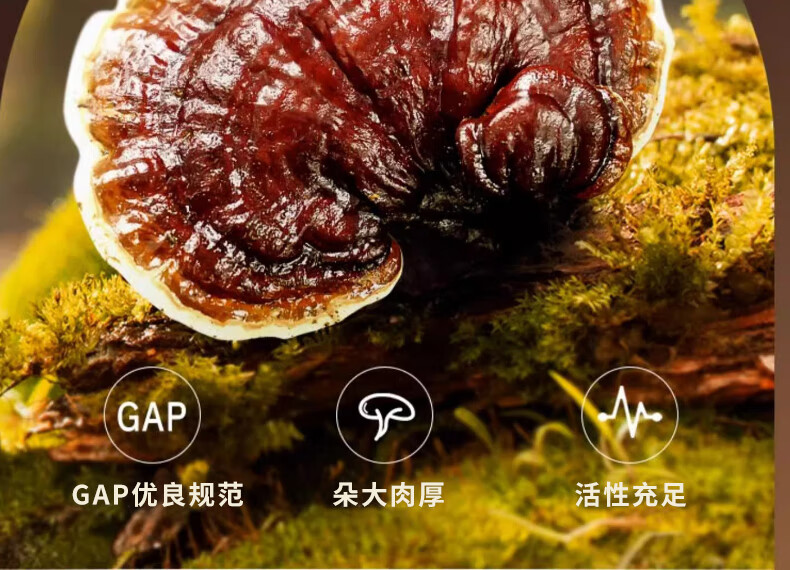8bec29419ab86b76.jpg