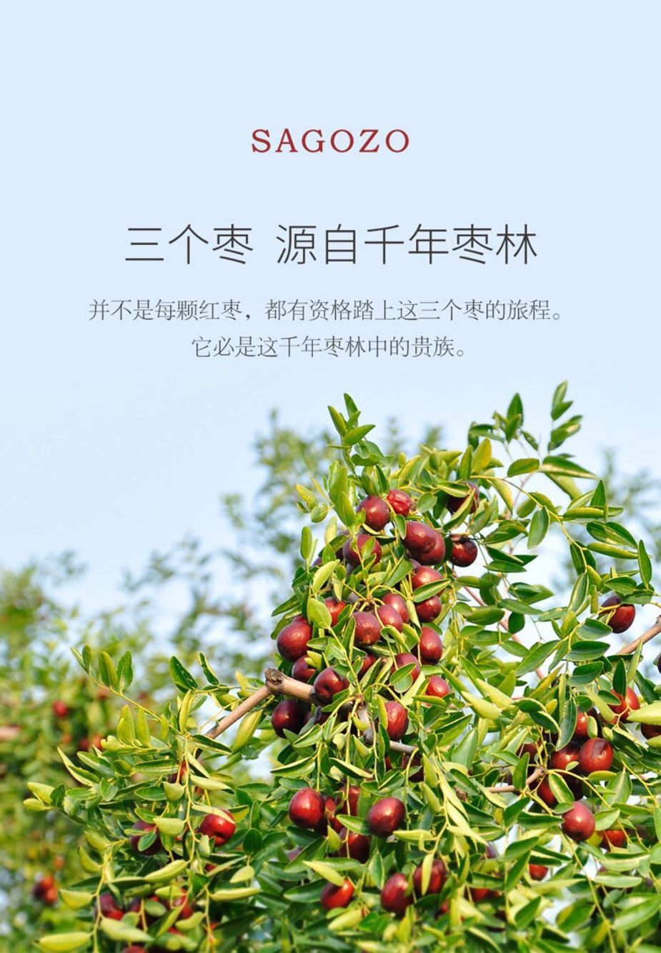 山西板枣正宗稷山板枣拉丝红枣一级板枣五斤装【图