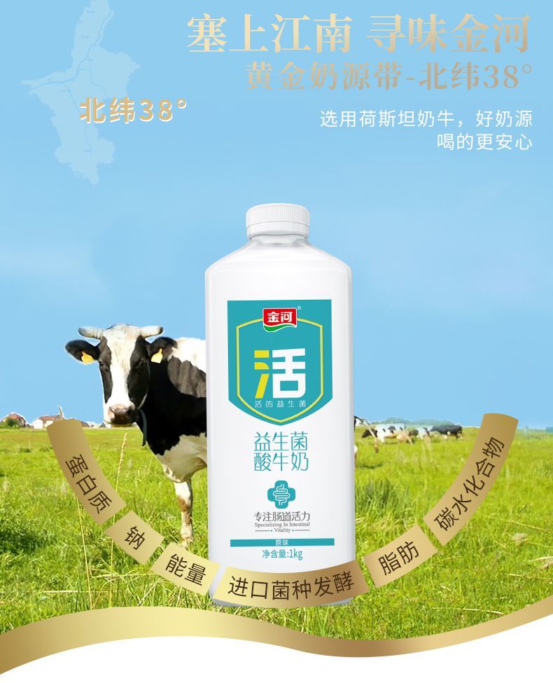 宁夏金河活菌酸奶大桶装原味益生菌发酵儿童早餐牛奶 【1瓶】原味活菌