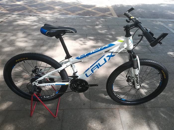 雷克斯自行车laux雷克斯钢架山地车阳光100升级款双碟刹自行车避震