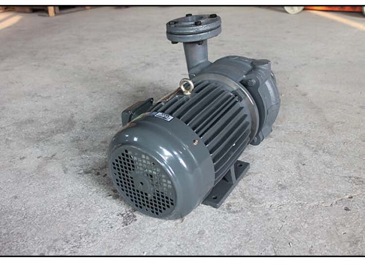 不锈钢元新抽水机模温机水泵油泵ys35b120高温热微型循环泵ys15a120度