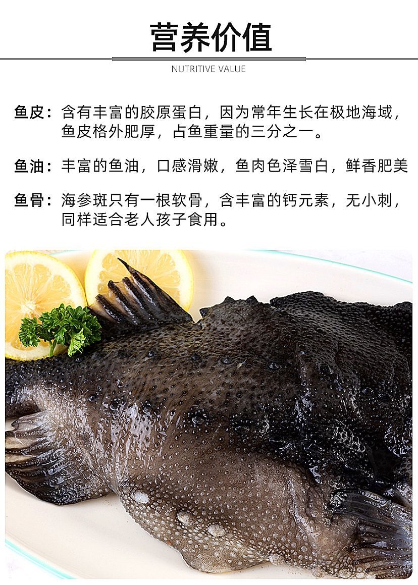 顺丰发货海参斑鱼去脏新鲜海鲜批发深海鱼石斑鱼冷冻水产生鲜1500克34