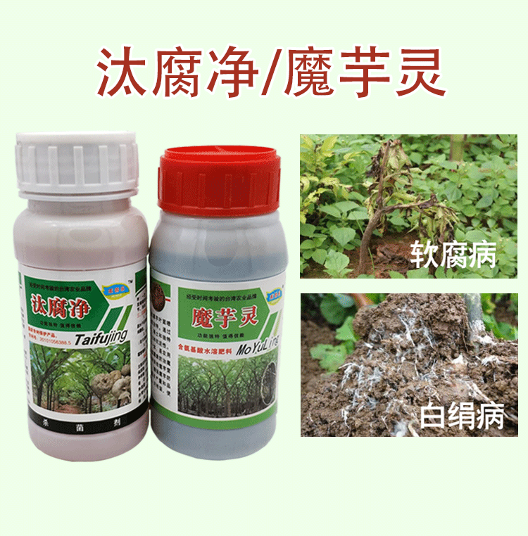 方瑞汰腐净魔芋灵魔芋多元消毒粉魔芋软腐病根腐病防病增产消毒药魔芋