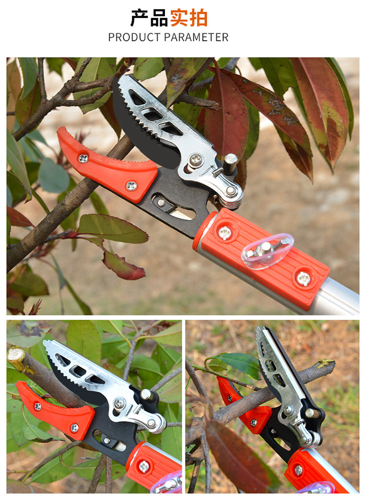 高枝剪多功能伸缩摘果神器高空摘果龙眼荔枝器锯树剪枝剪刀摘枇杷 第