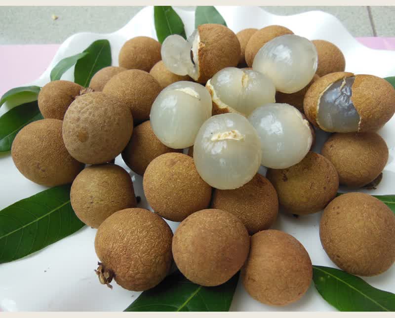 龙眼新鲜桂圆特级大果现摘现发老树福建漳州莆田桂圆大果当季水果9斤