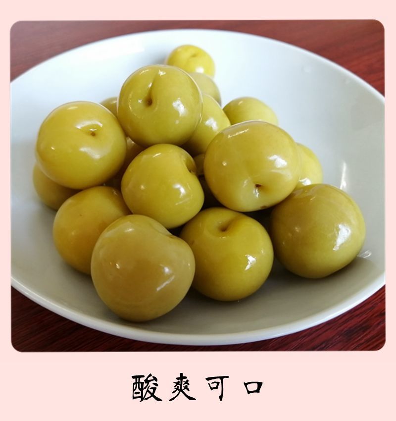 广西玉林腌制酸脆李子发记泡李子青李子酸料酸嘢腌李子米李三月李2300