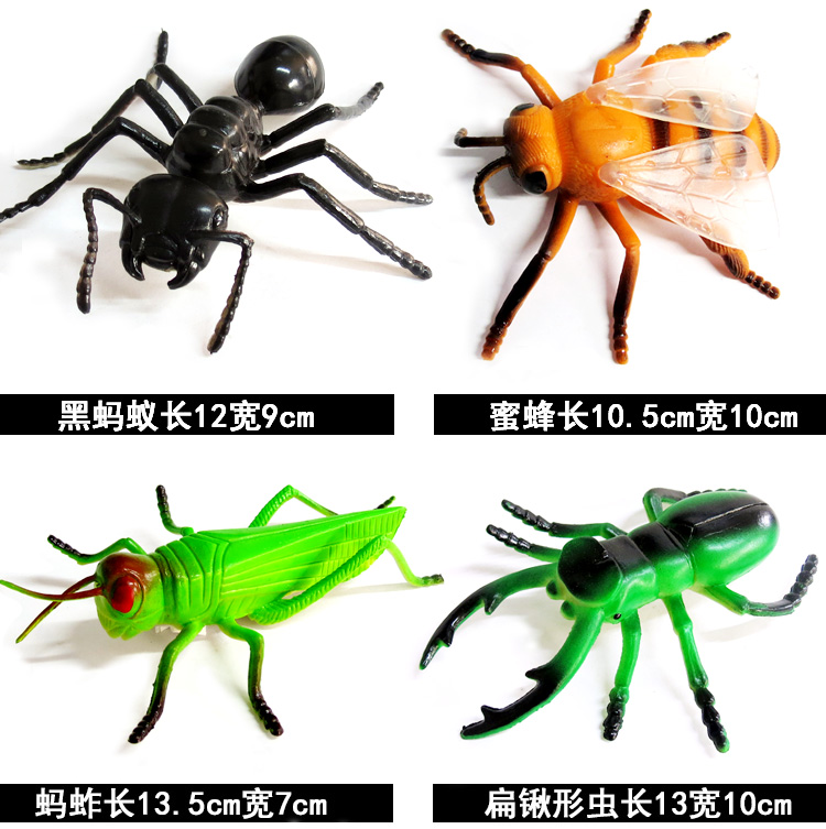 昆虫玩具软胶仿真昆虫动物模型套装爬行甲虫蝴蝶蜻蜓蜘蛛儿童玩具认知教具大号瓢虫款礼包 送收纳箱 图片价格品牌报价 京东