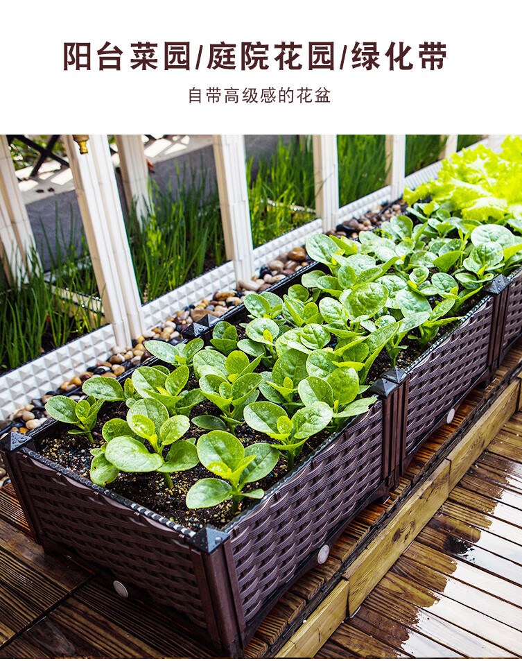 室内种植蔬菜容器家庭阳台种菜箱长方形加厚塑料种植槽楼顶花盆种菜