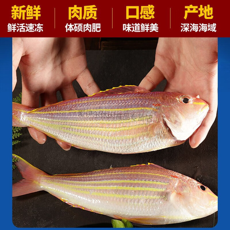 湛江新鮮金線魚水產海釣海魚紅杉魚紅三魚金絲魚大號35條斤1斤裝