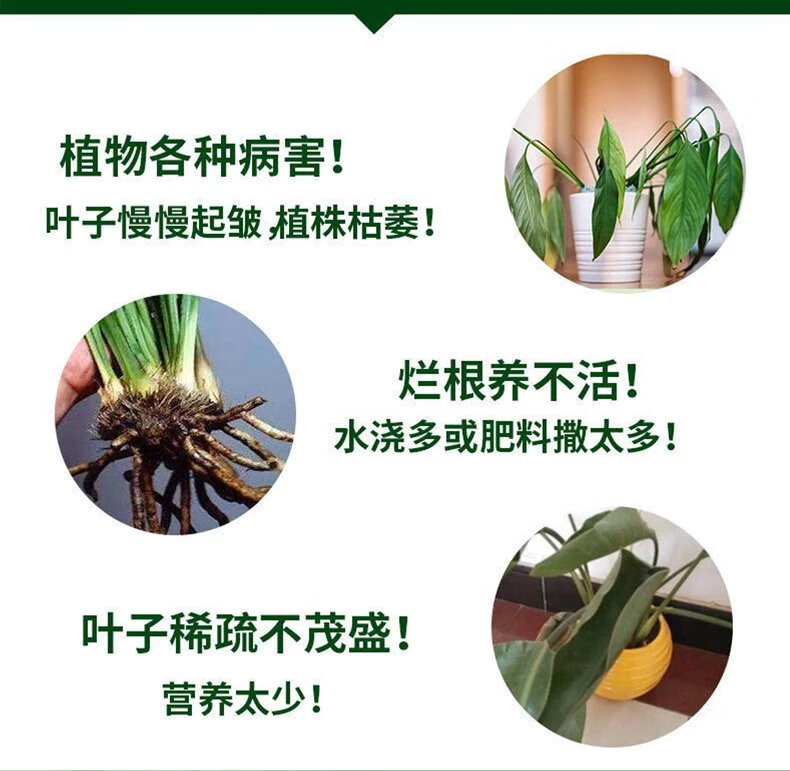 4，植物營養液通用型花肥發財樹富貴竹綠蘿水培盆栽家用花卉養花肥料 500濃縮營養液【2瓶裝】