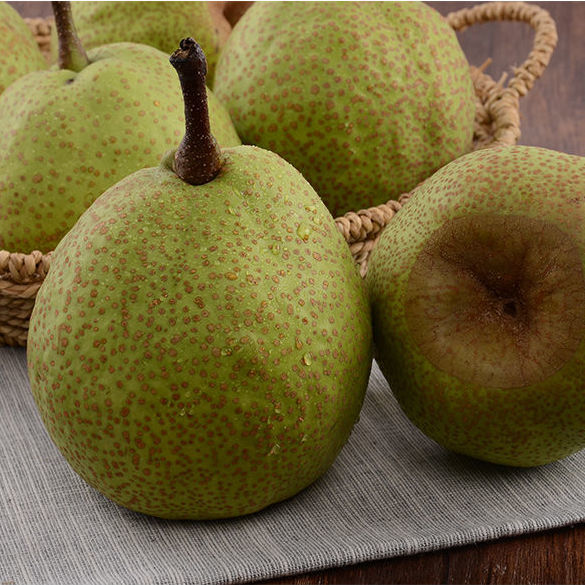 龙冈茌梨的做法(龙冈茌梨什么时候)