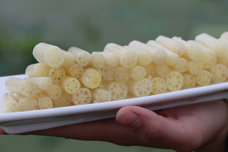 余胖子湖北特产洪湖新鲜藕带藕尖新鲜现挖莲藕 1500g【图片 价格 品牌