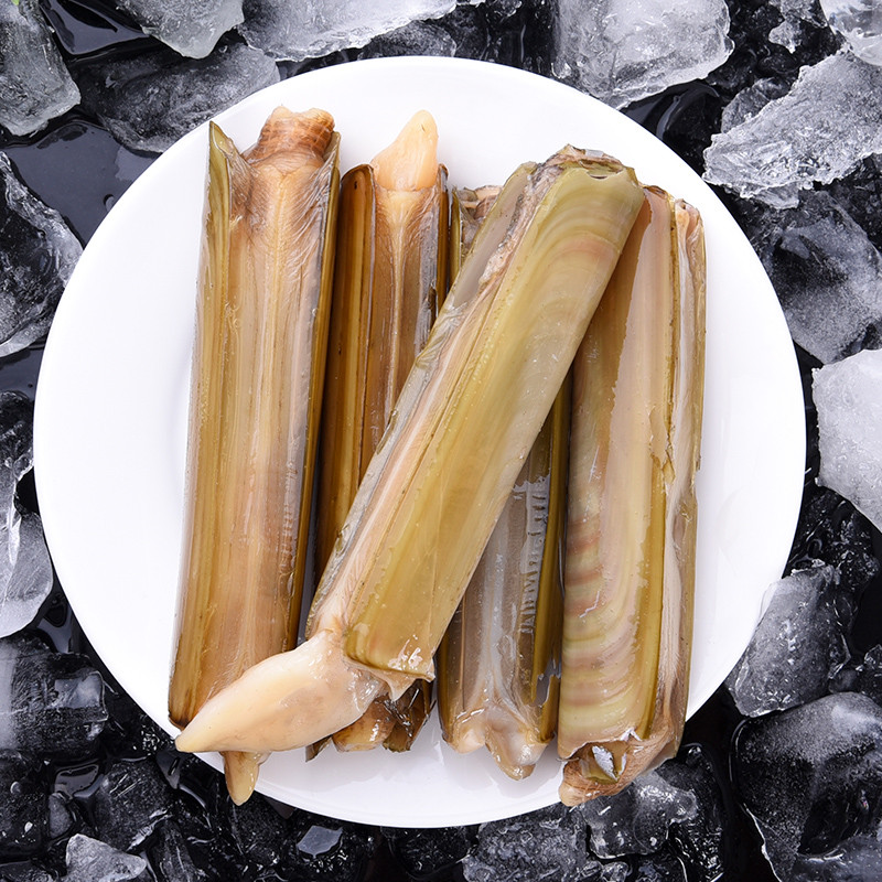 【顺丰现货】鲜活小竹蛏 竹节蛏 手指蛏 竹蛏 大蛏子 海鲜水产 3斤