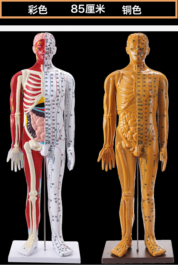 便携款针灸穴位人体模型人十二经络图小皮人可扎针85cm铜人 铜色软质