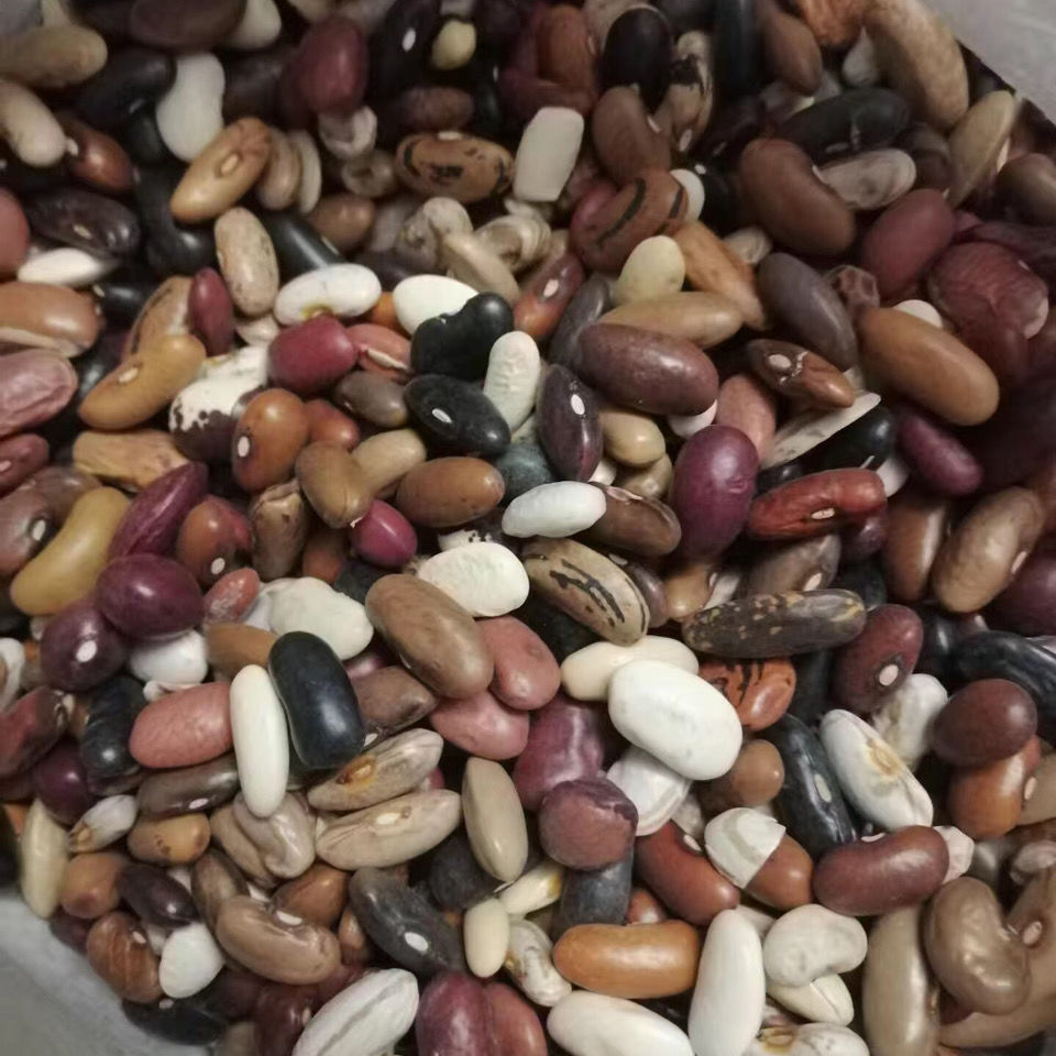 八宝豆农家自产杂芸豆豆类组合红腰豆八宝粥原料杂粮豆 5斤装【图片