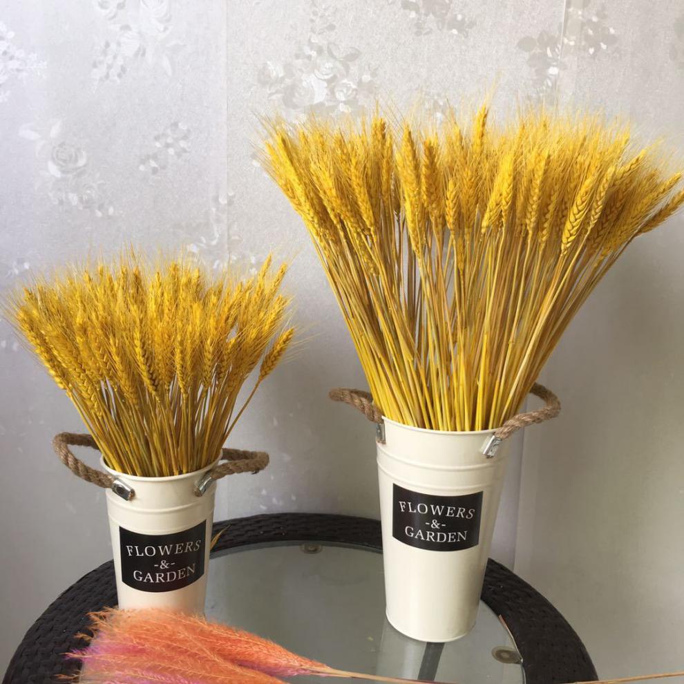 精选天然麦穗干花花束开业大麦客厅田园装饰摆件瓶插花真花干艺术落地