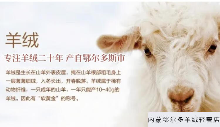 8a19a8664b99c937.png