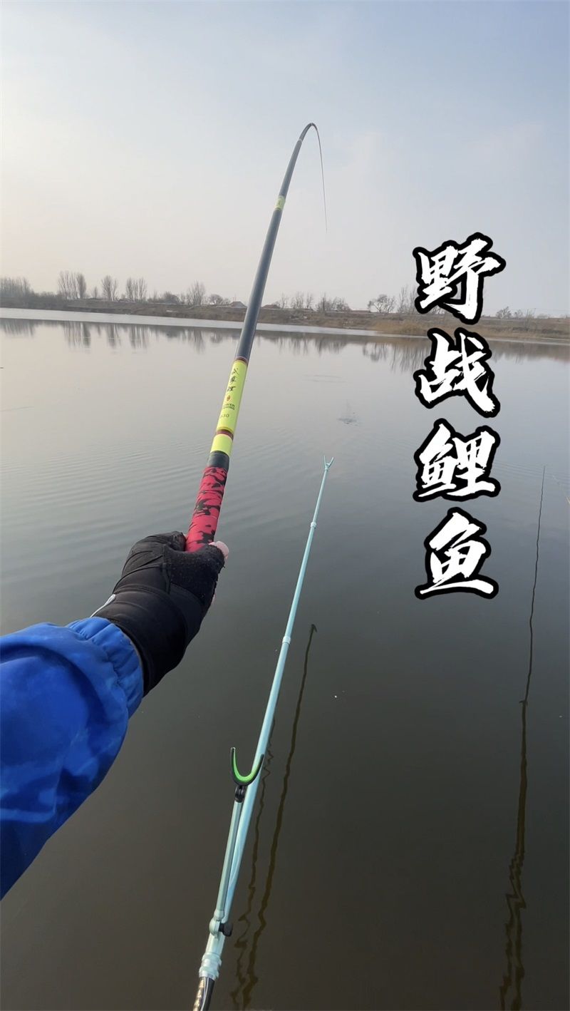 钓鱼竿手竿碳素武尊鱼竿 手竿28调长节台钓杆超轻超硬72米81钓竿 真超