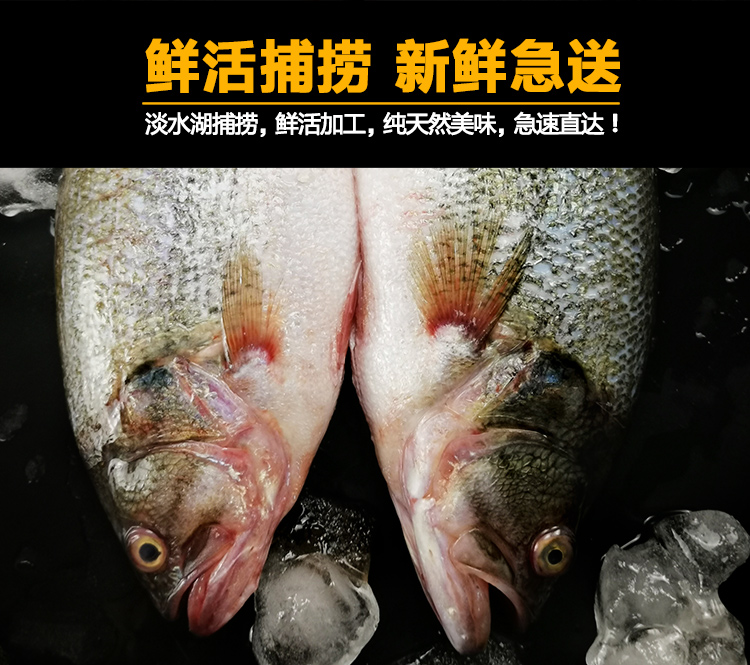 生態淡水魚鮮活現殺淡水鱸魚新鮮冰凍每條 生鮮水產 2斤