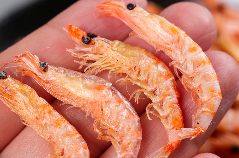 南极磷虾干特级大连磷虾皮淡干虾干即食大虾皮鳞虾无盐 半斤250*1罐