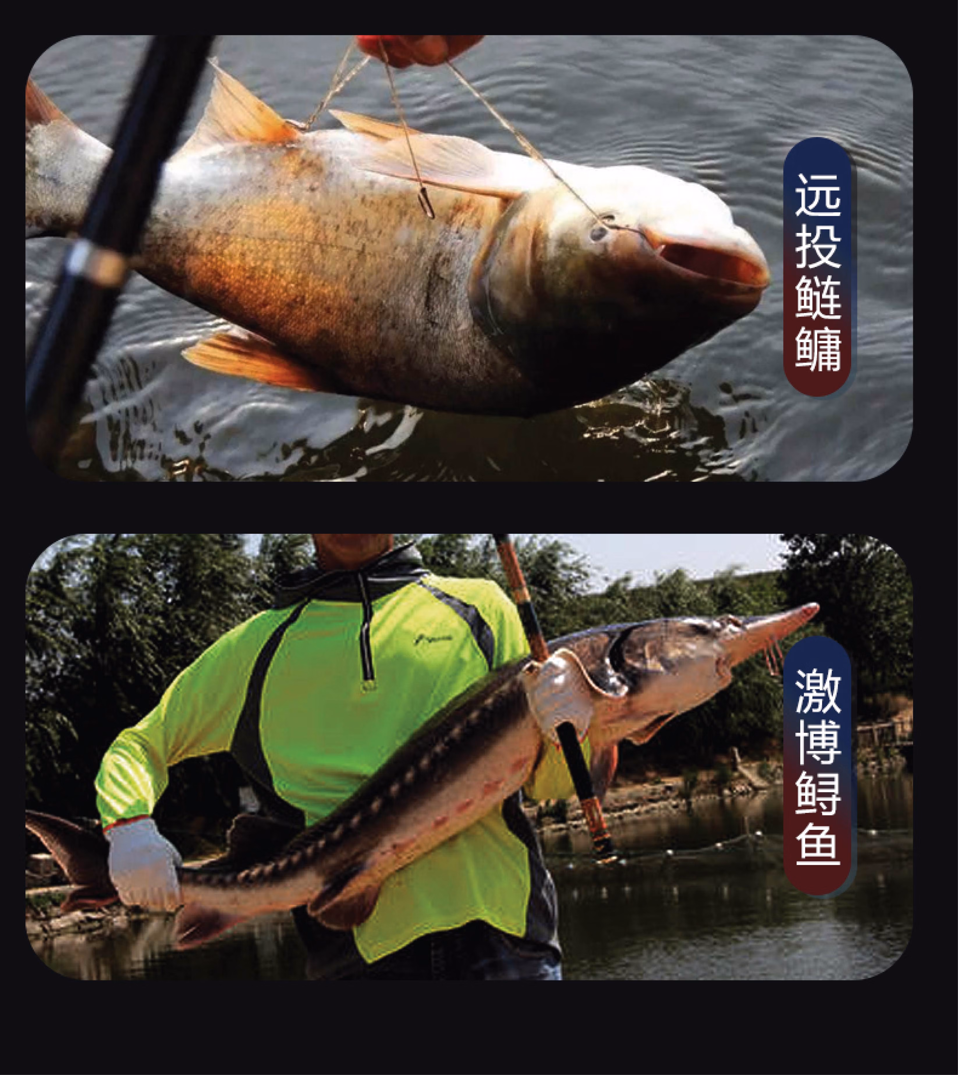 日本进口高端球钓路亚鲫鱼底钓洛阳球球形浮漂远投浮钓大物草鱼漂圆球