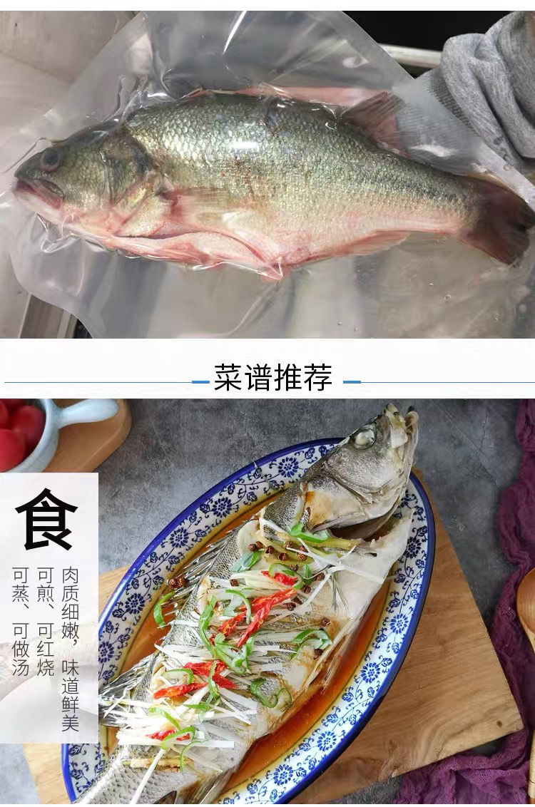 淡水鱸魚鮮活鱸魚真空速凍鱸魚淡水魚鱖魚錦祥橙1條一斤裝幫殺淨去鱗