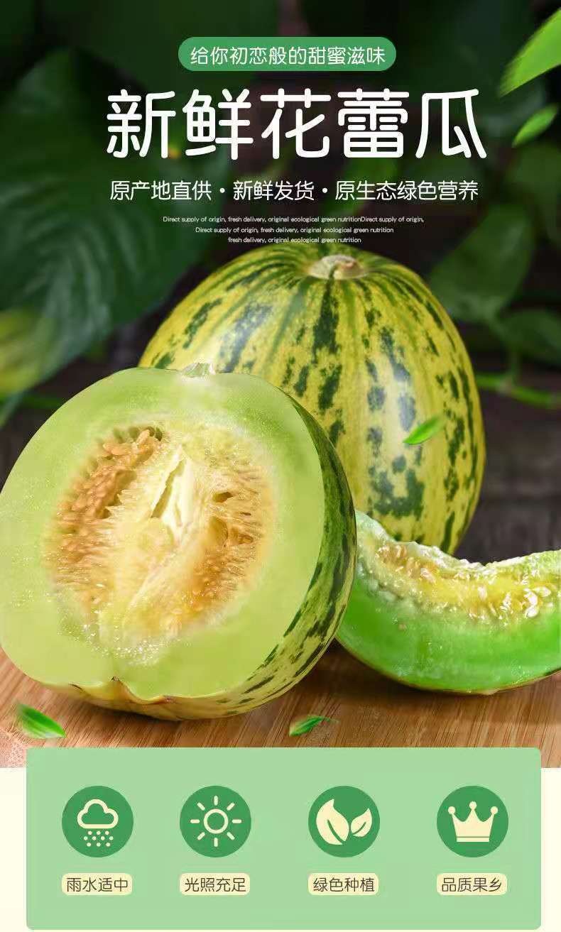 (现摘现发)十里香花蕾甜瓜 花姑娘 香瓜 脆甜多汁 新鲜时令水果 5斤(6