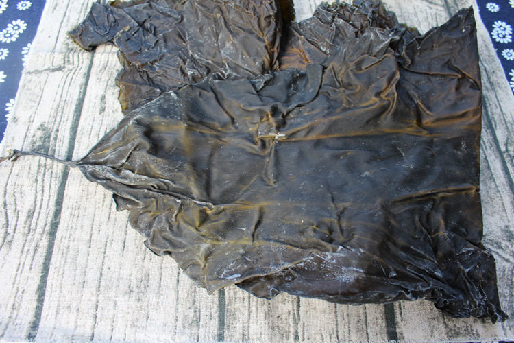 干海带福建加厚海带干日晒厚实无沙散装火锅食材凉拌菜 海带500g