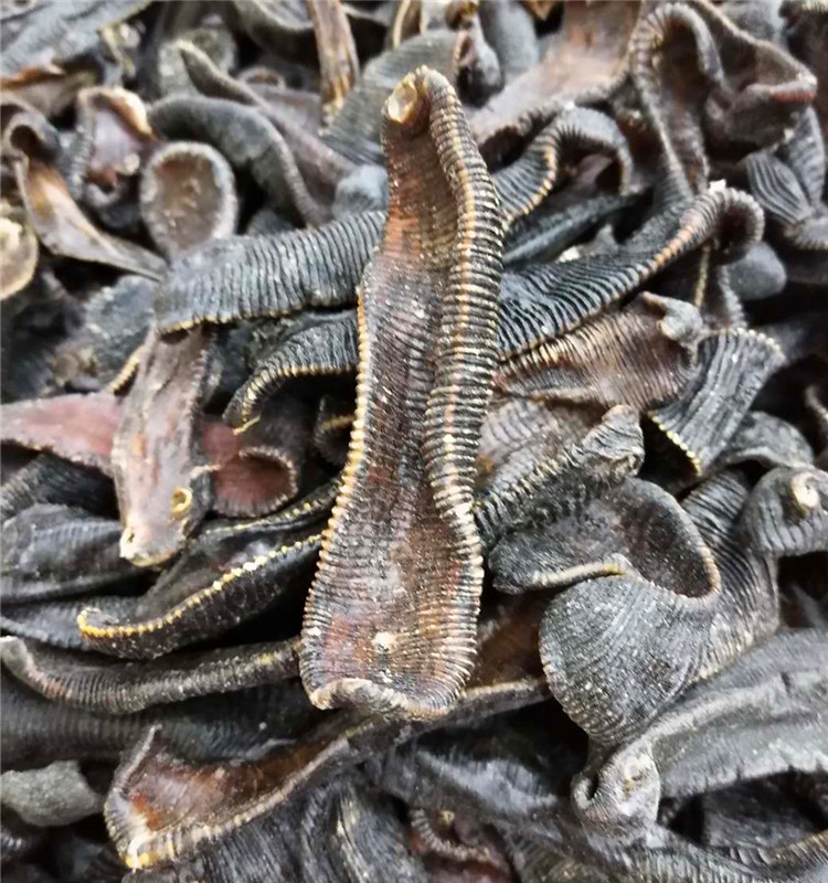 中药材野生清水水蛭干货 吊干蚂蟥无盐无矾磨粉500克【图片 价格 品牌