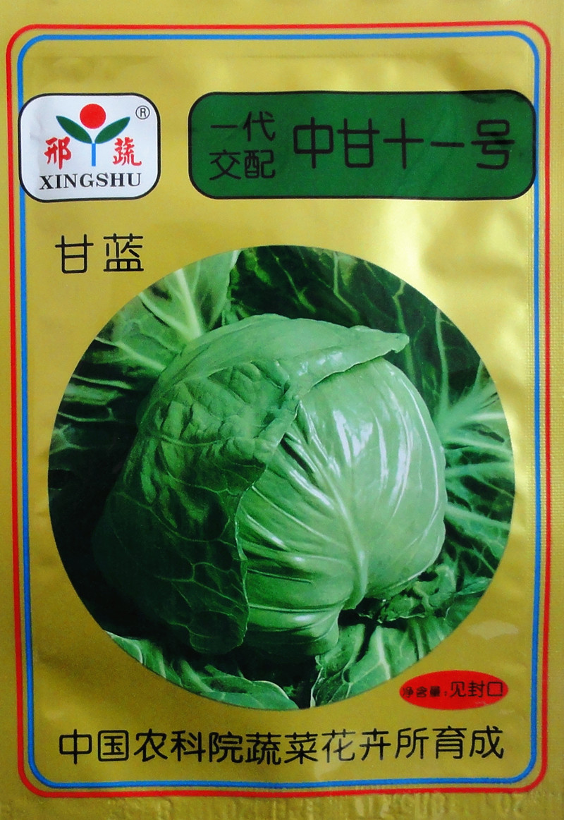 新籽京丰一号中甘十一号绿甘蓝种子牛心甘蓝紫甘蓝四季易播种蔬菜 紫