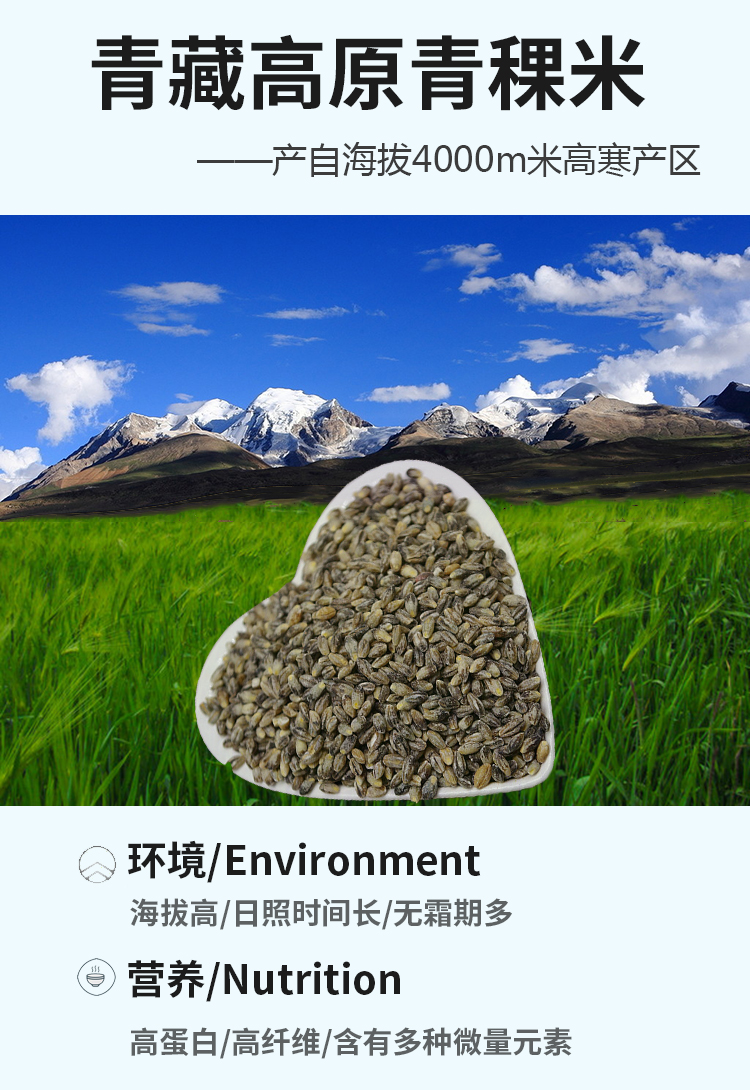 黑青稞米5斤西藏青海去皮黑大麦仁甜醅糖尿健康五谷杂粮米