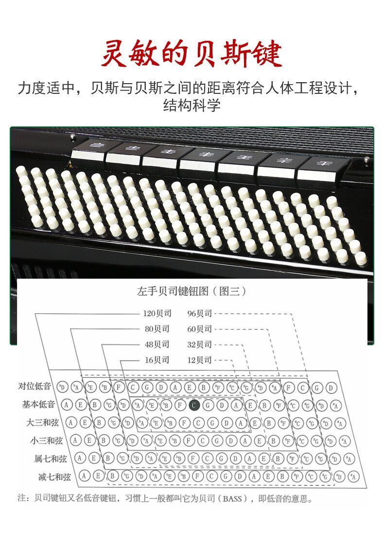 手风琴右手按键图解图片