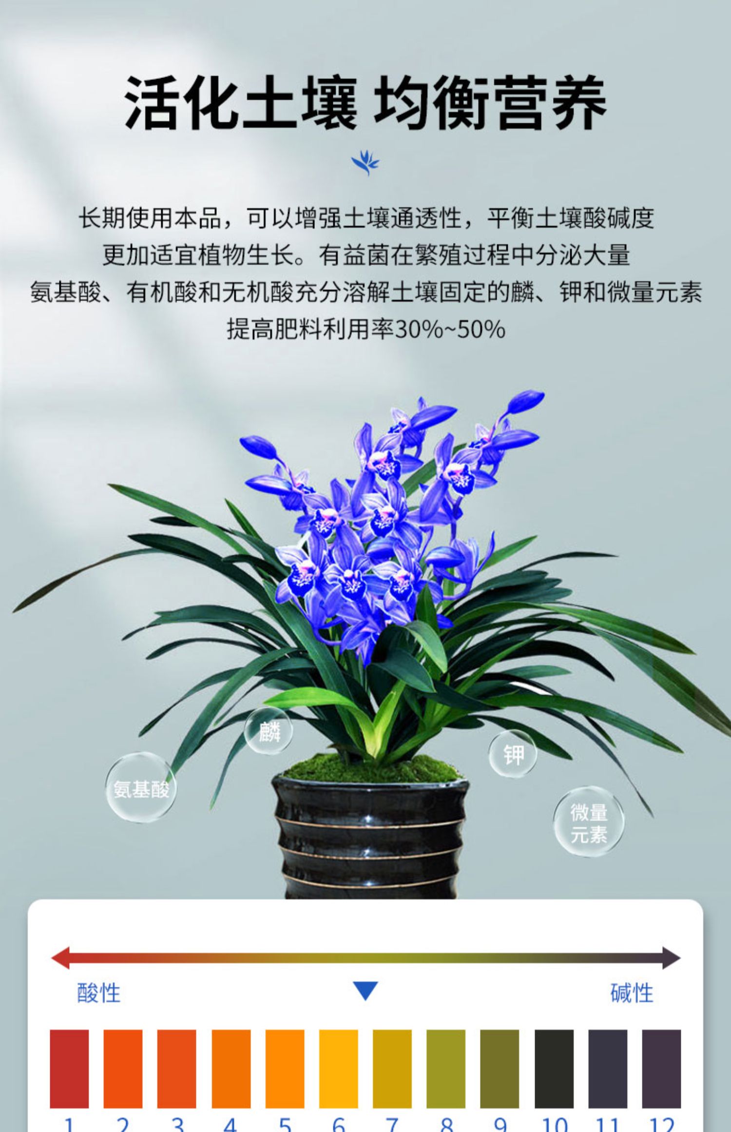 兰花专用营养液兰灵王em菌兰科君子兰蝴蝶文心兰墨兰开花有机肥料兰灵