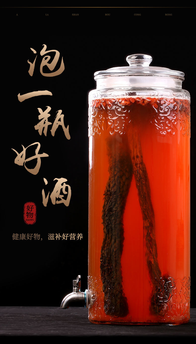 凯史甘斯金锁阳阿拉善野生锁阳片滋补中药材配淫羊藿肉苁蓉泡酒料锁阳