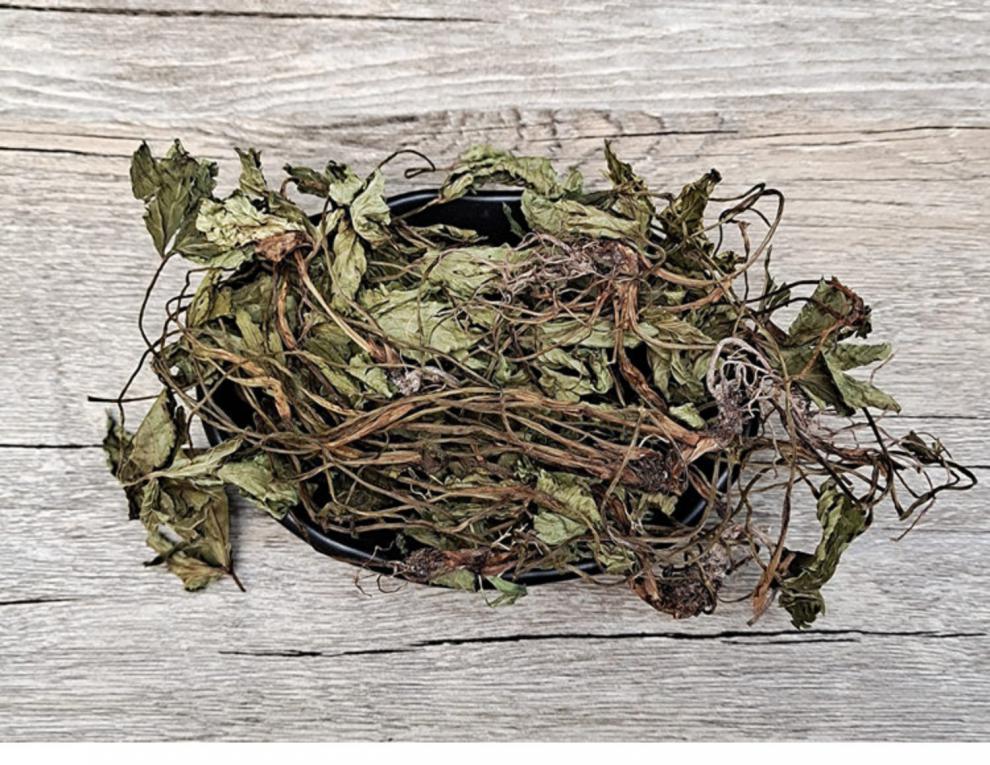 肺心草500g克山区中药材散装新货肺经草新鲜干货中草药大全【图片