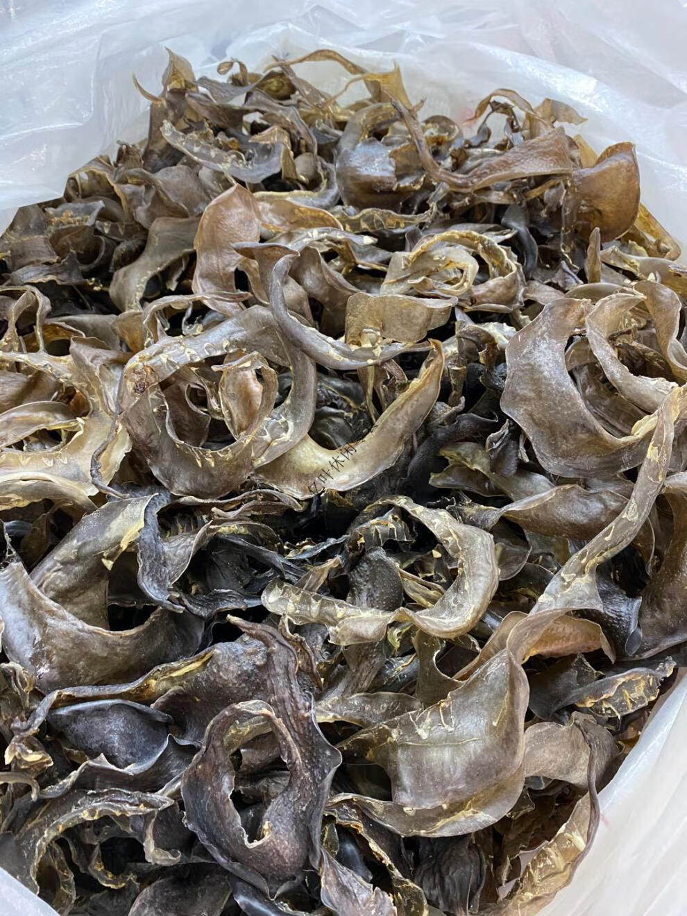 90头甲鱼裙边干水鱼边王八裙边龟裙边乌龟边龟板胶250g