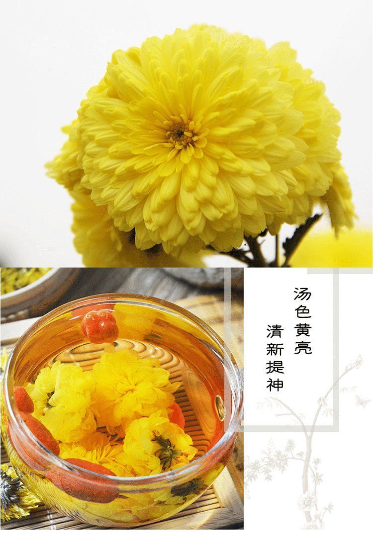 冰菊花茶图片大全图片