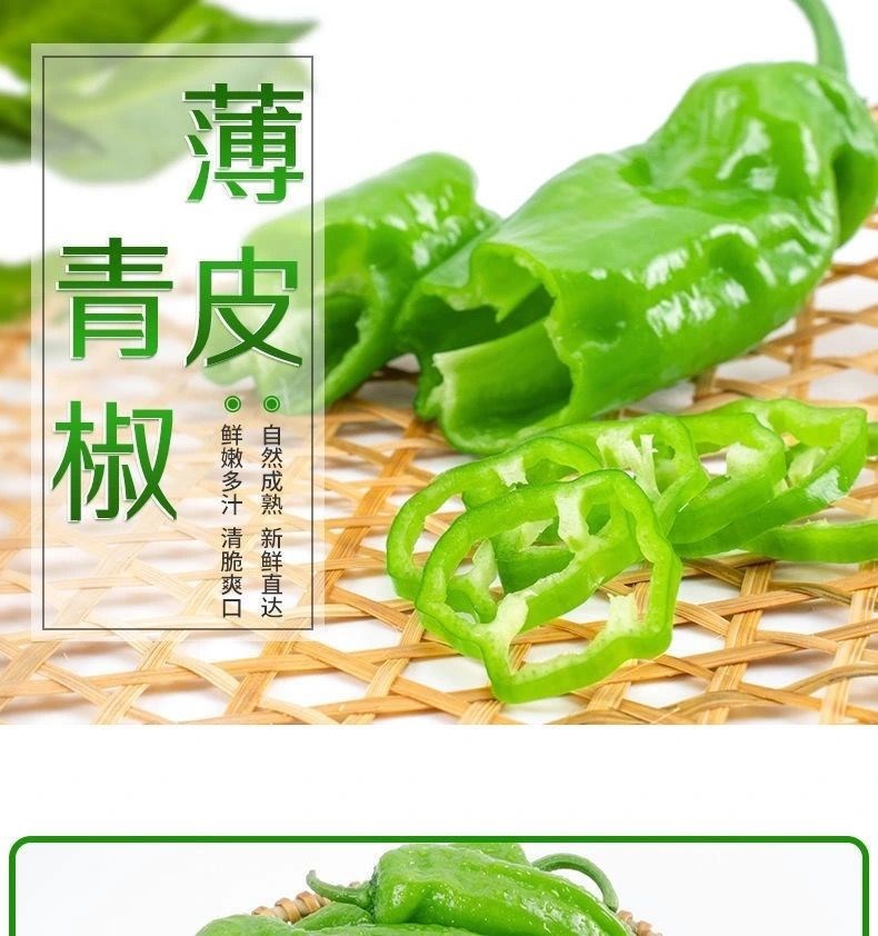 虎皮青椒5斤薄皮椒辣椒微辣新鲜农家自种新鲜蔬菜 3斤【图片 价格
